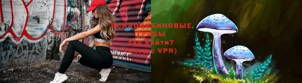 шишки Армянск