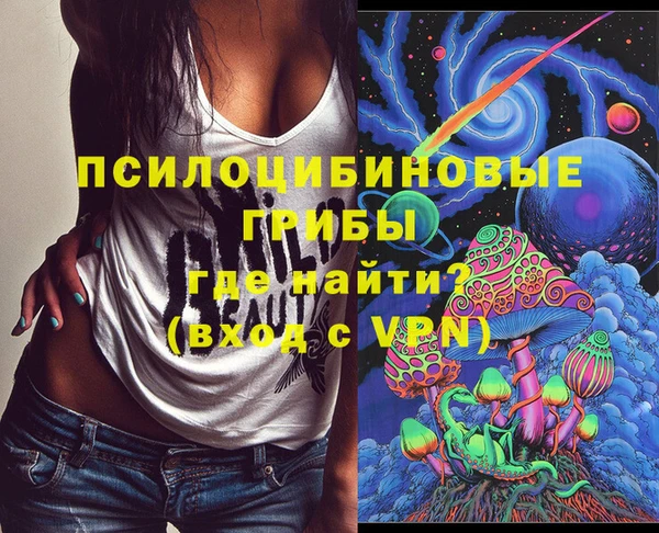 ГАЛЛЮЦИНОГЕННЫЕ ГРИБЫ Алексин