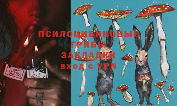 скорость Пестово