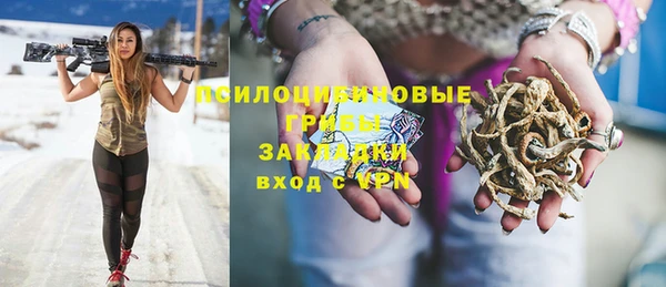 шишки Армянск
