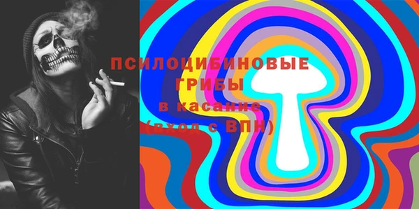 ГАЛЛЮЦИНОГЕННЫЕ ГРИБЫ Алексин