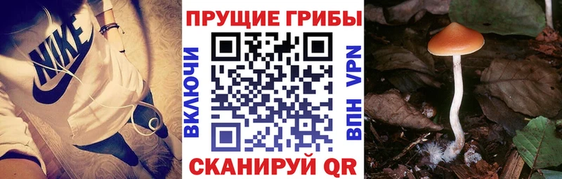 Галлюциногенные грибы мицелий  маркетплейс Telegram  Бикин 